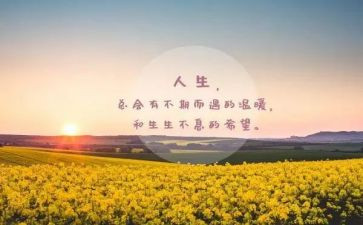 微感悟和心得体会参考8篇