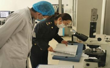 关于学校卫生调查报告8篇