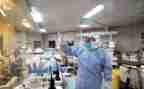学校卫生自查工作总结8篇