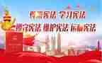 山的卫士心得体会5篇