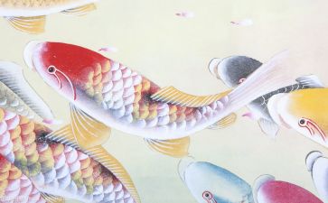 中华般文化心得体会最新7篇