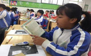 语文课教学语文课教学反思7篇