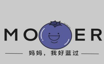 方案文字8篇