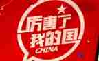 我的国我的家作文800字优质7篇