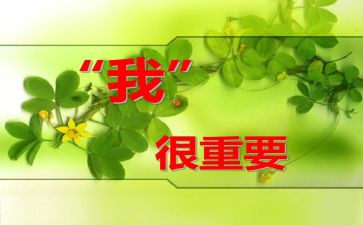 我很重要毕淑敏读后感6篇