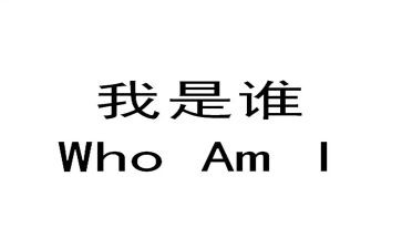 我是谁作文300字推荐7篇