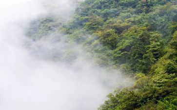 雾都孤儿读后感800字6篇