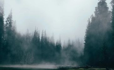 雾的读后感30字参考7篇