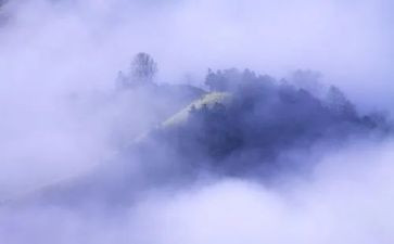 对雾霾调查报告优秀5篇