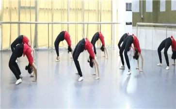 舞蹈队总结报告8篇