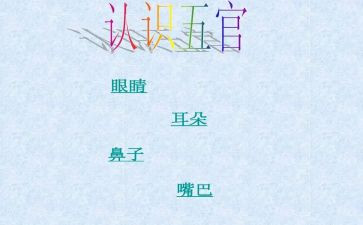 五官歌的教案通用6篇