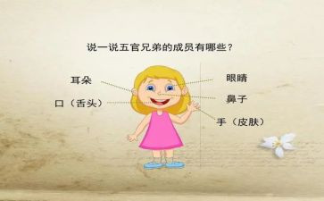 描写五官的作文精选5篇