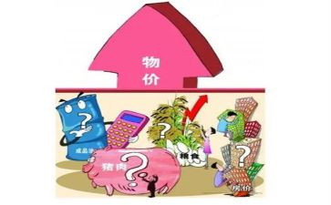 物价上涨的调查报告6篇