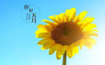 小班五月工作计划最新8篇