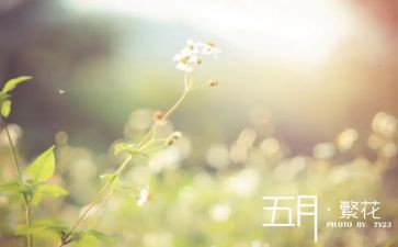 小班五月工作计划7篇