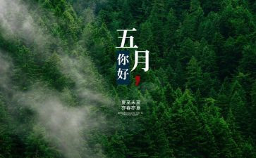 小班五月份工作总结8篇