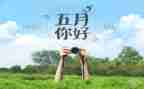 幼儿园小班五月工作总结5篇