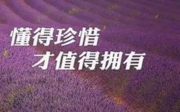 珍惜青春演讲稿5篇