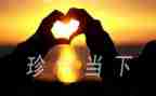 珍惜粮食拒绝浪费的演讲稿7篇