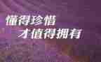 珍惜青春演讲稿5篇