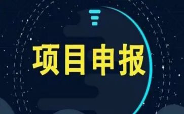 项目办述职报告8篇