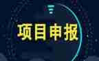 公司项目工作总结范文6篇