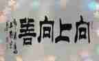 向上向善好青年心得体会7篇