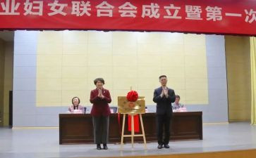 乡镇妇联工作总结6篇