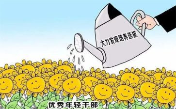 乡镇干部心得体会8篇