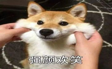 笑猫日记25读后感参考5篇