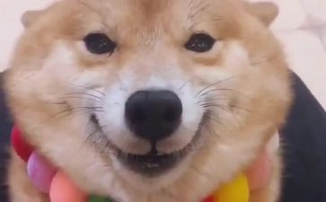 作文《笑》400字优秀7篇