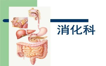 消化二自我鉴定推荐7篇