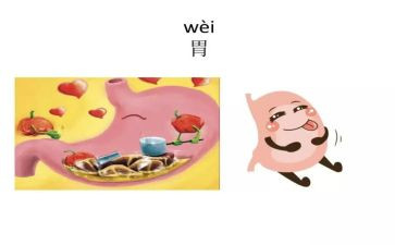消化内科的自我鉴定优质8篇