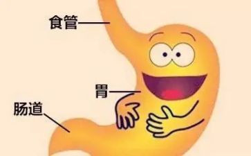呼吸消化科实习心得体会6篇
