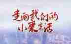 论小康作文精选6篇