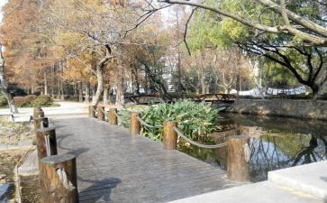 校内劳动活动方案6篇