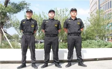 小区保安的个人总结7篇