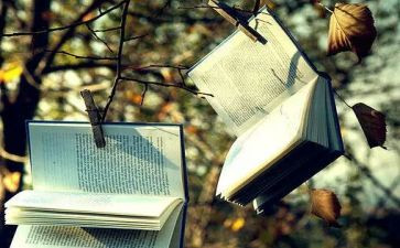 战争和和平小说读后感5篇