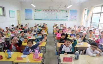 教学小学数学教学心得体会模板7篇