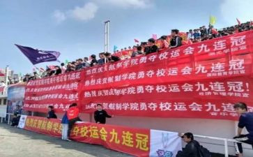 学校运动会工作总结6篇
