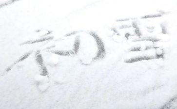 关于下雪的作文7篇