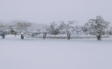 关于下雪的作文400字6篇