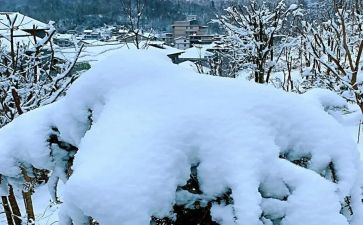 雪下雪的作文7篇