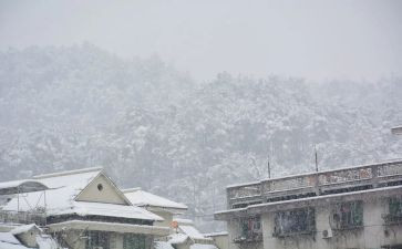 下雪了作文500字5篇