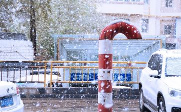 雪下雪的作文最新5篇