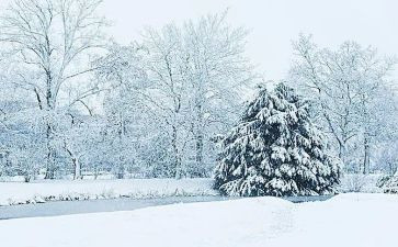 雪下雪作文模板6篇