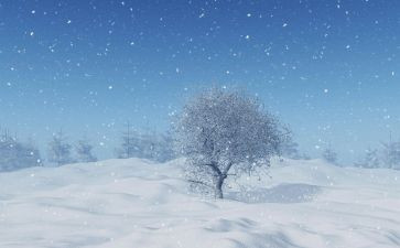 雪下雪作文8篇
