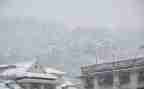 下雪了作文500字5篇