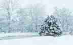 雪下雪作文模板6篇