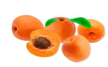 杏花山的作文7篇